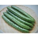 漬物きゅうり（醤油味）