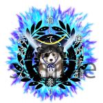 Z z masamune z Z