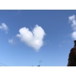 userPhoto