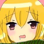 まるた