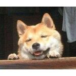 よな