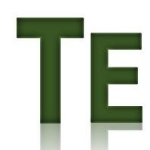TE勢残党