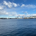 userPhoto