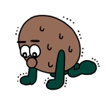 キウイ