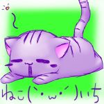 ねこ(｀・ω・´)いち
