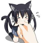 ★あずねこ★
