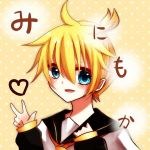 みにもか