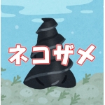 ネコザメ