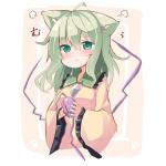 ねこたん