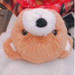 userPhoto