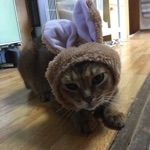 じにゃん