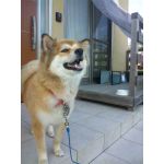 userPhoto