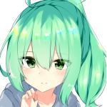 シンヲタ