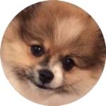 cheesum