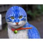 ぶどうまんじゅう