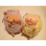 めぐぴょん