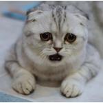 じるちぃ