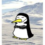 ひげペンギン