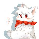 しろわんこ