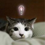 ゆきひこ