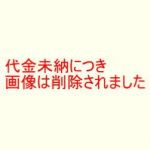 ドルバッキー