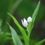 userPhoto