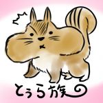 とぅら族