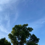 userPhoto