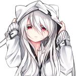 シロガミ