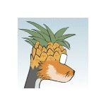 フジツカ