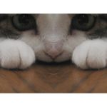 ぇお
