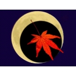 旻天月葉