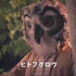 ヒトフクロウ