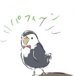 ラドン