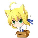 アクヤ