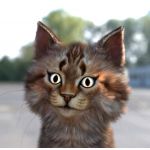ネコの飼い主