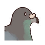 ハト先生