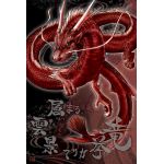 赤龍