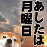 (　ﾟдﾟ)