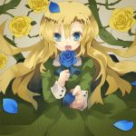 夢☆晞
