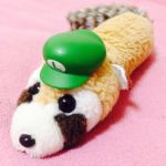 タカナン