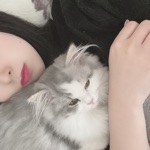 みるくてぃー