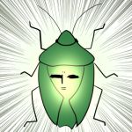 カメムシ