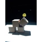 userPhoto