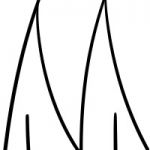 もちにん