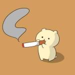のざらし