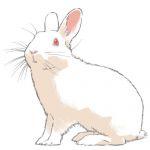 極めてもっこり