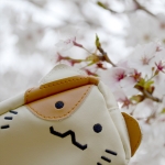 タケシ