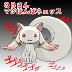 まりの人