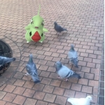 あや